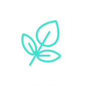 Symbol přírody a&nbsp;organického růstu v&nbsp;barvě brandu pro podtržení přirozenosti metod.